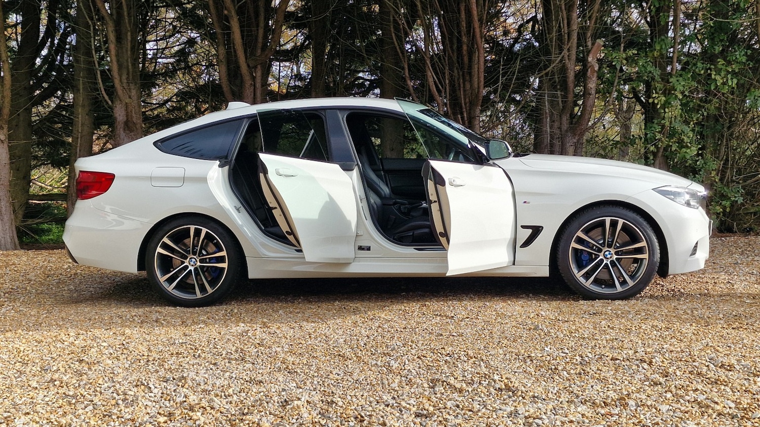 Used BMW 3 Series 2017 for sale - 76571147: Photo 2