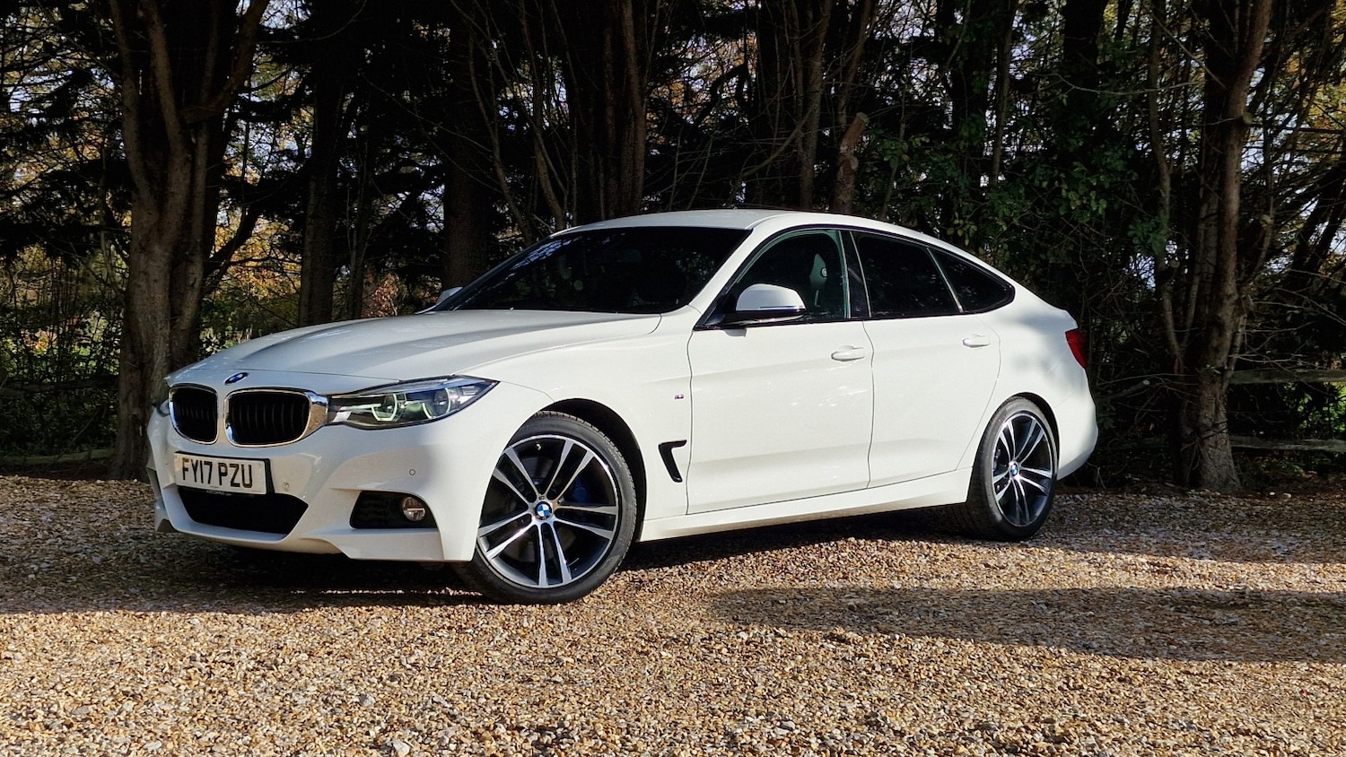 Used BMW 3 Series 2017 for sale - 76571147: Photo 22