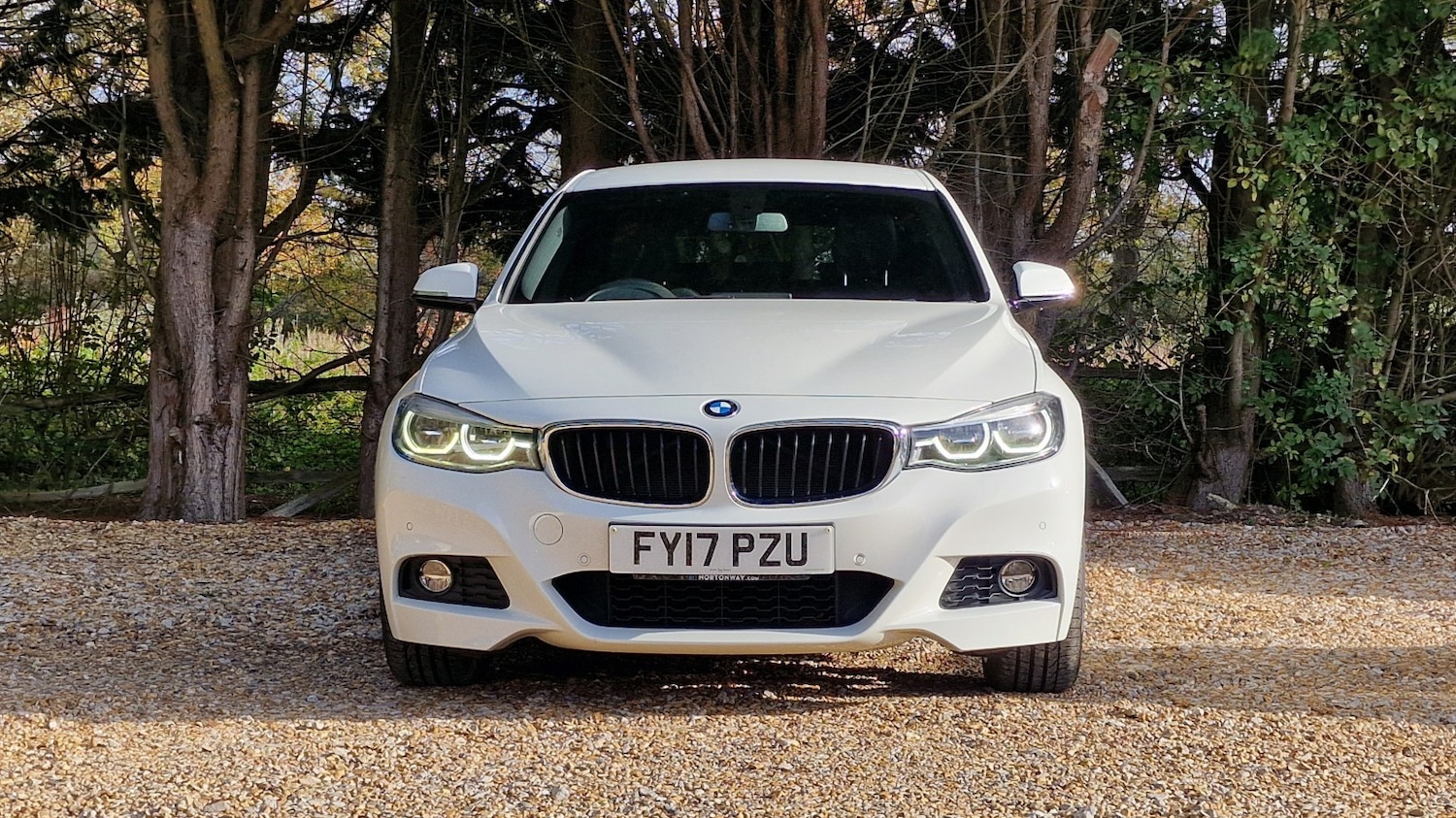 Used BMW 3 Series 2017 for sale - 76571147: Photo 23