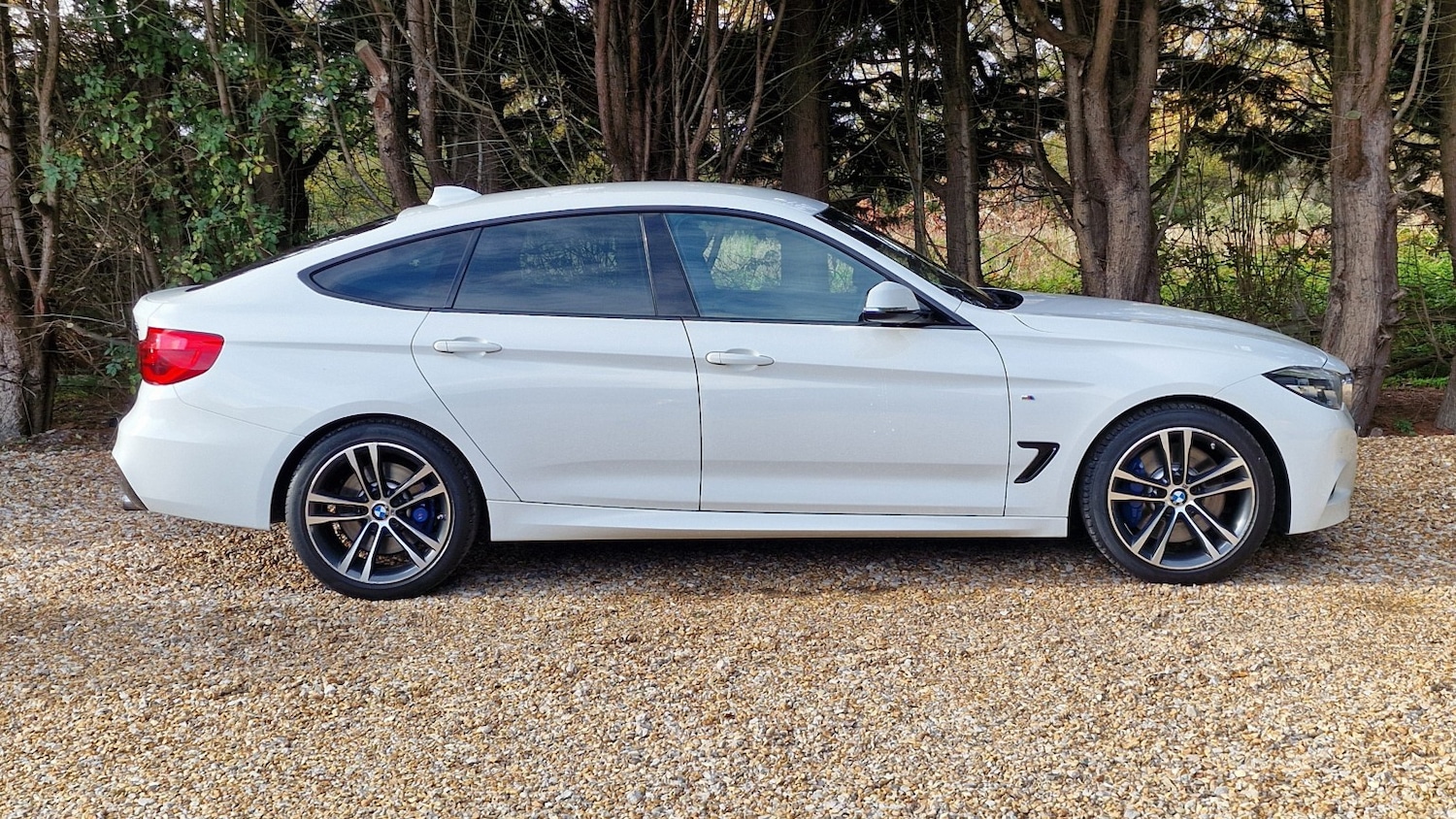 Used BMW 3 Series 2017 for sale - 76571147: Photo 3