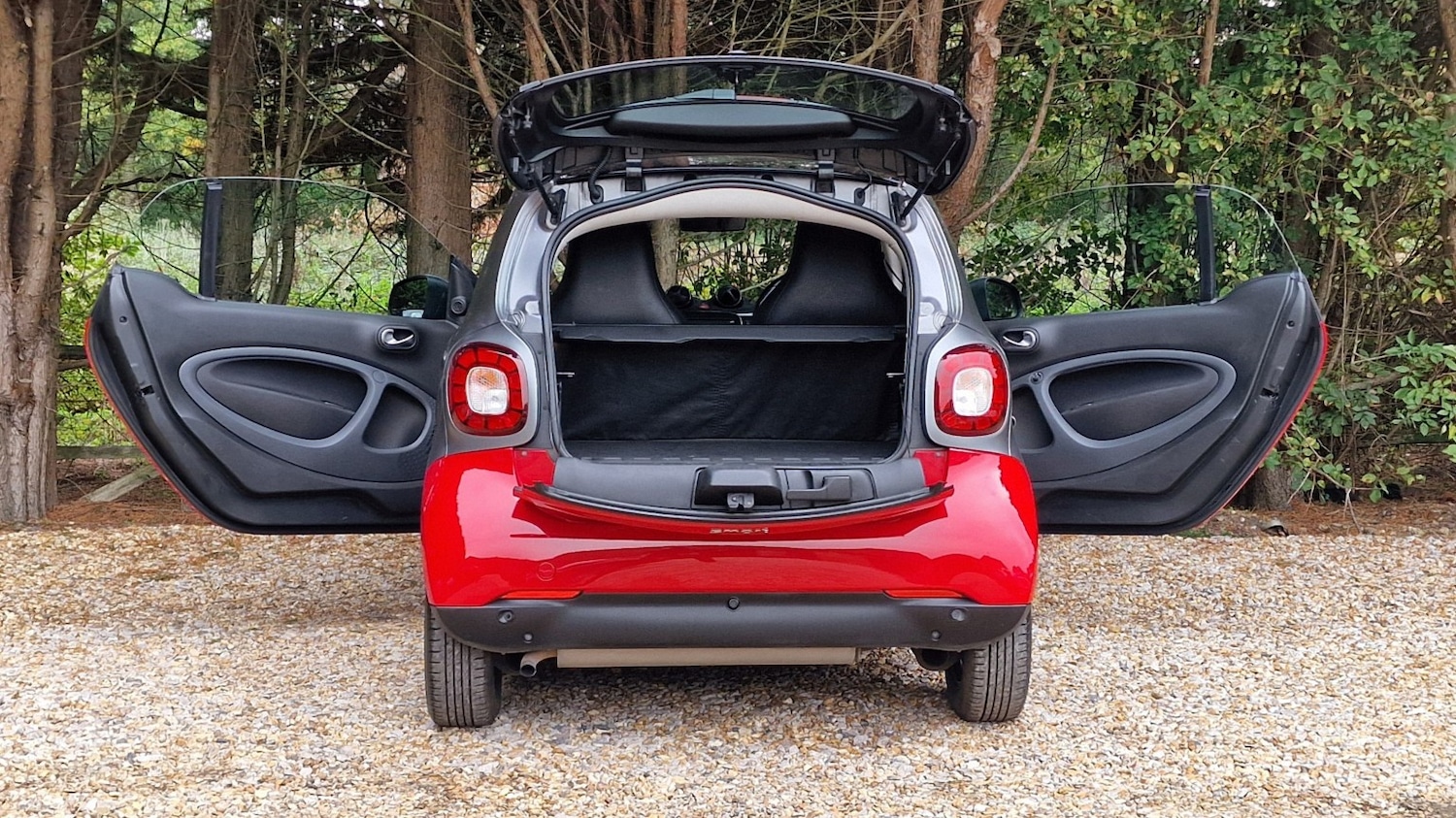 Used smart fortwo 2017 for sale - 76198292: Photo 13