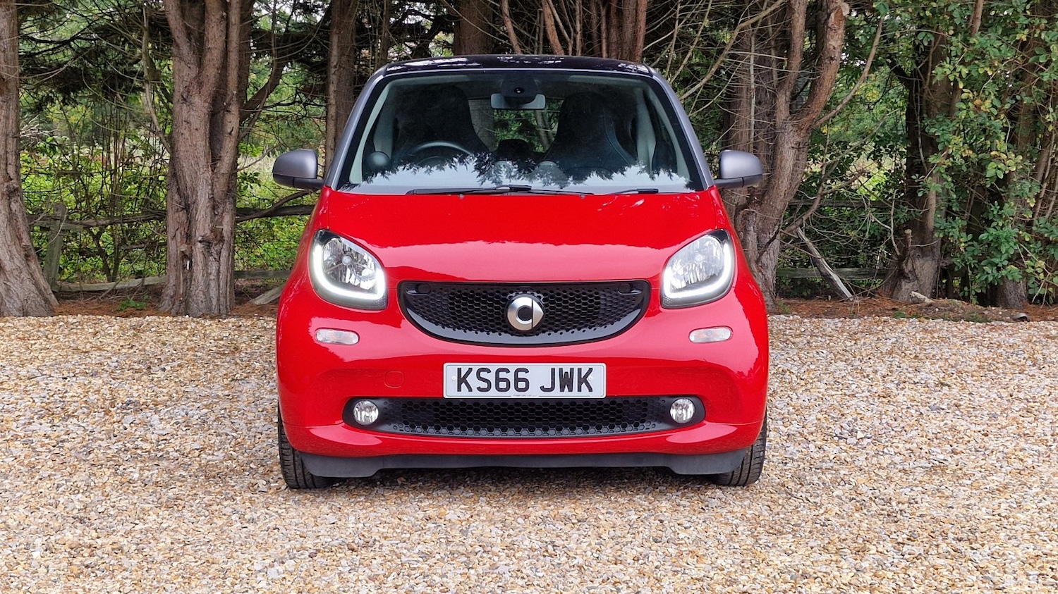 Used smart fortwo 2017 for sale - 76198292: Photo 22