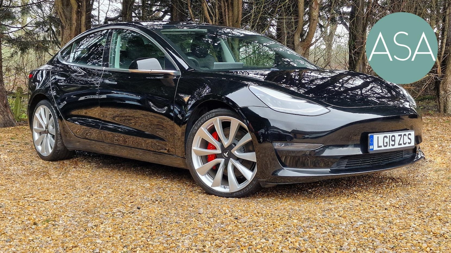 Used Tesla Model 3 2019 for sale - 77409515: Photo 1