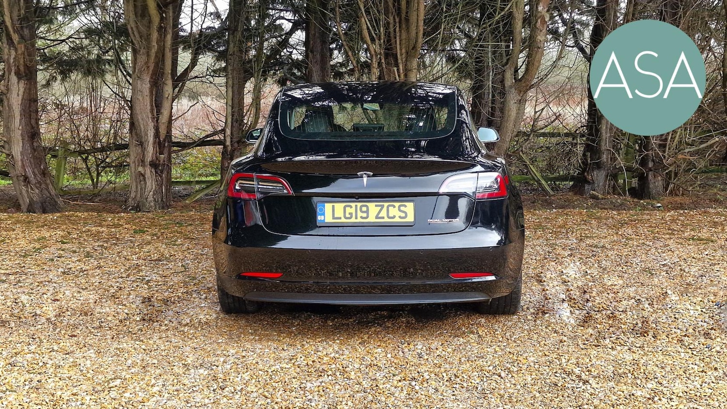 Used Tesla Model 3 2019 for sale - 77409515: Photo 15