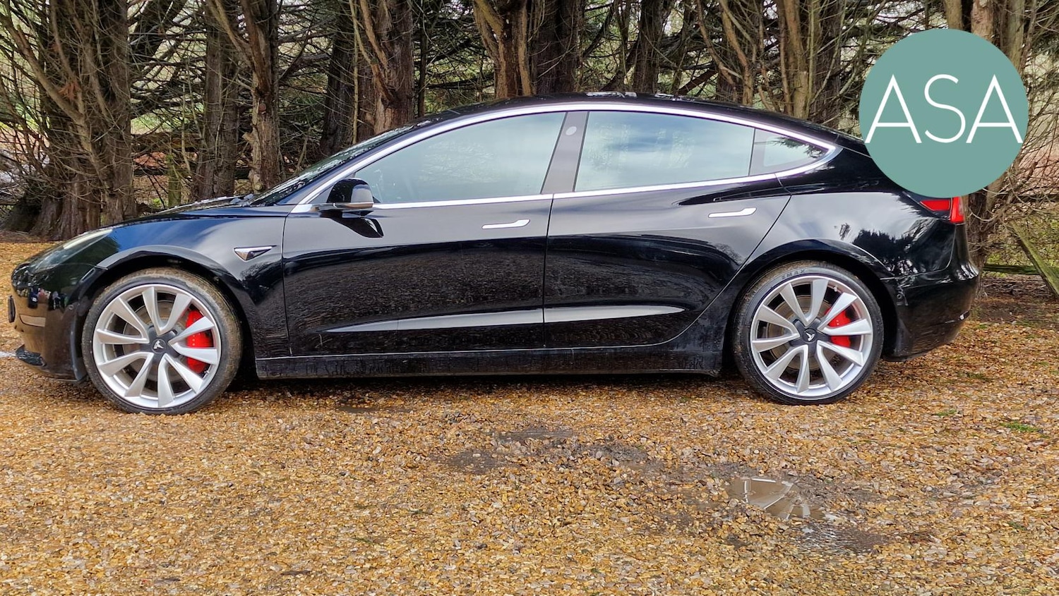 Used Tesla Model 3 2019 for sale - 77409515: Photo 21