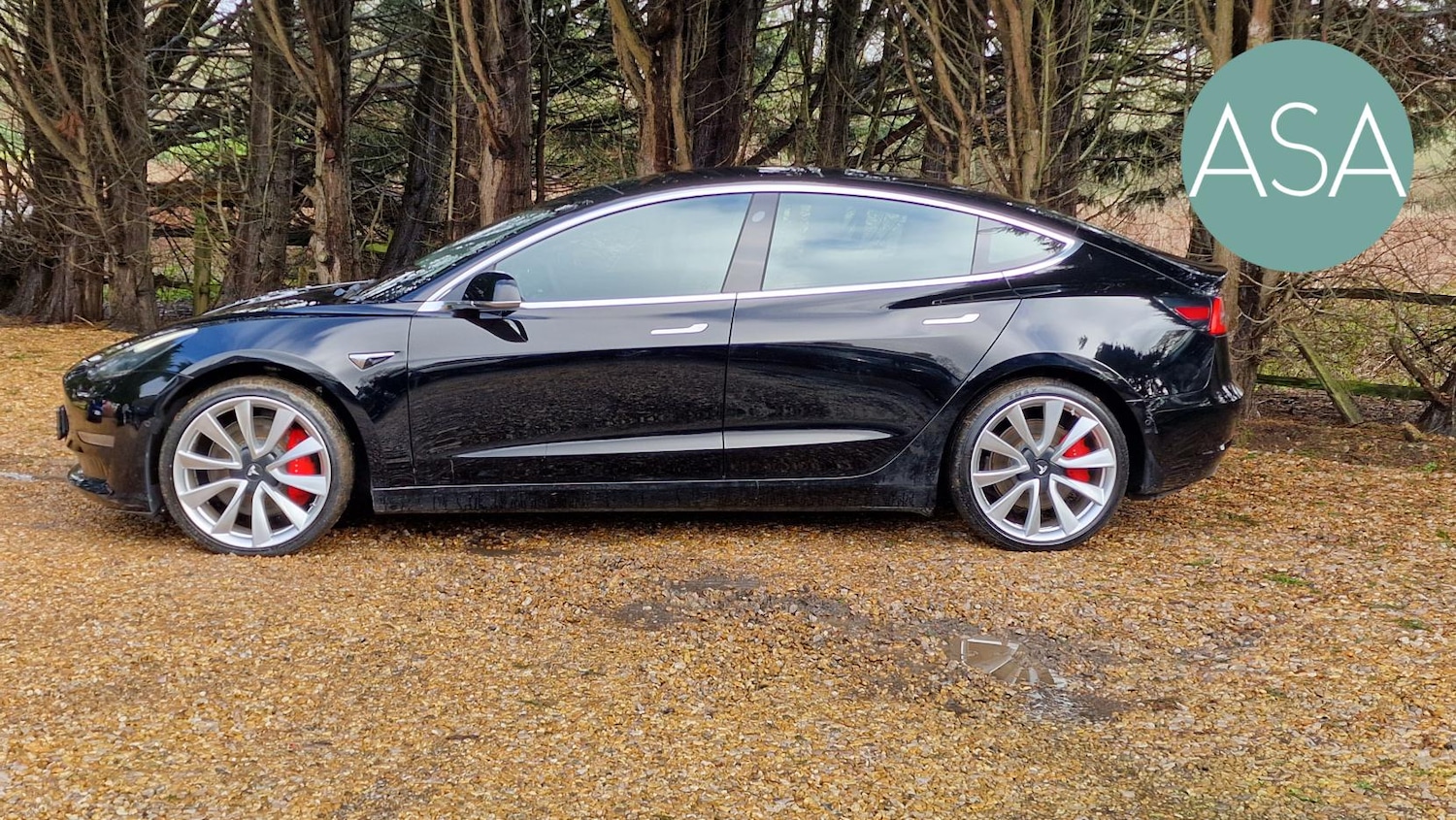 Used Tesla Model 3 2019 for sale - 77409515: Photo 22