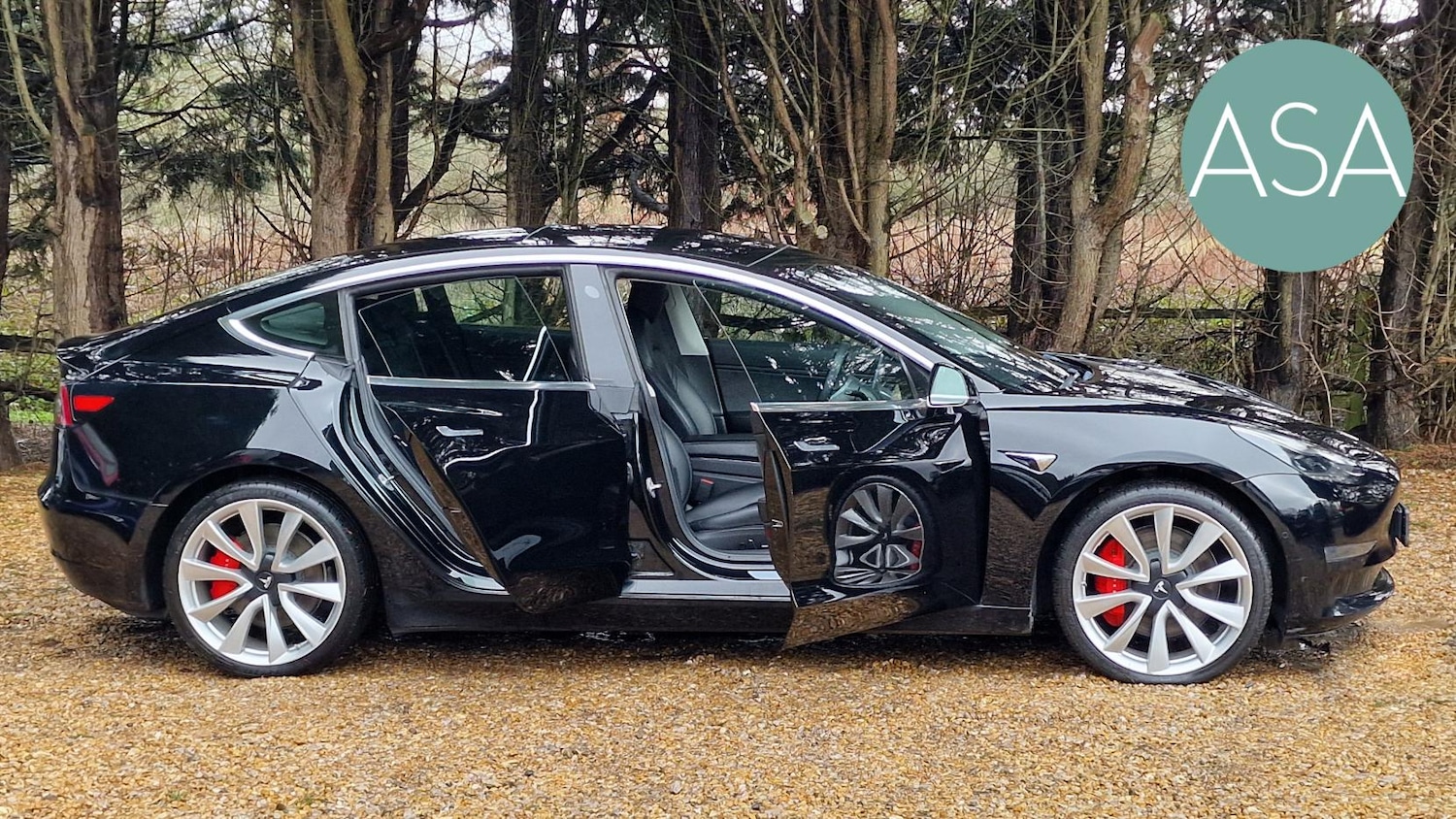 Used Tesla Model 3 2019 for sale - 77409515: Photo 3