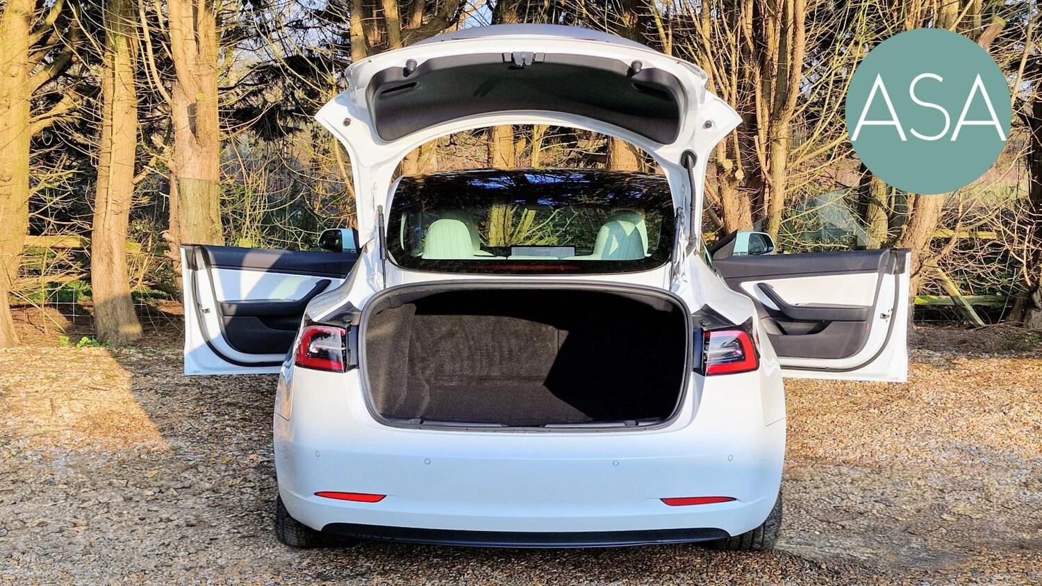 Used Tesla Model 3 2019 for sale - 77864825: Photo 17