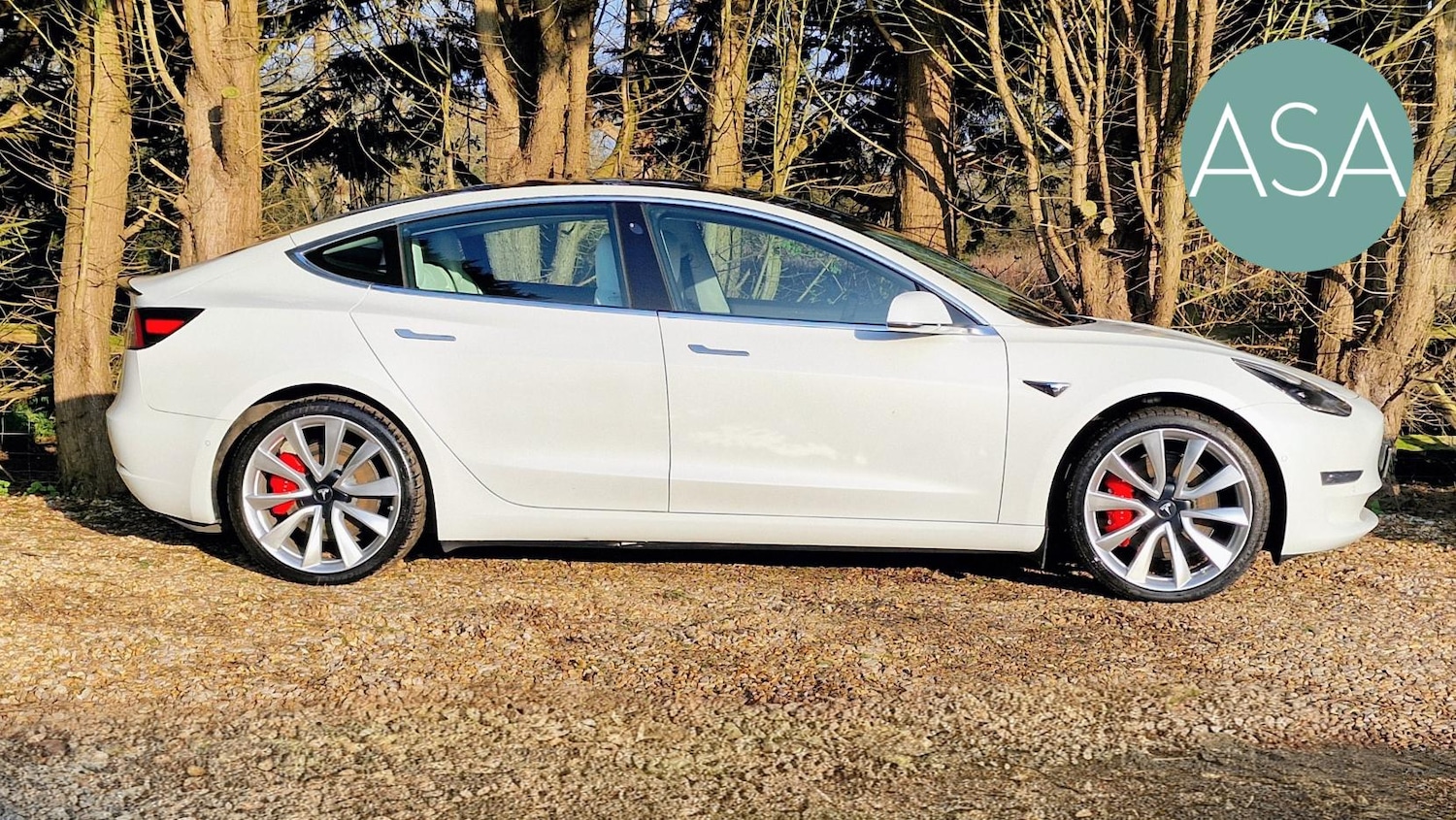 Used Tesla Model 3 2019 for sale - 77864825: Photo 2