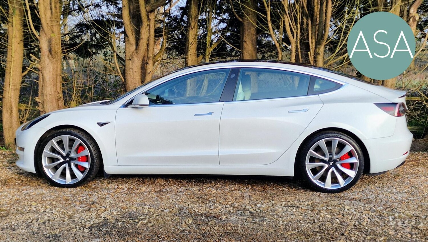 Used Tesla Model 3 2019 for sale - 77864825: Photo 20