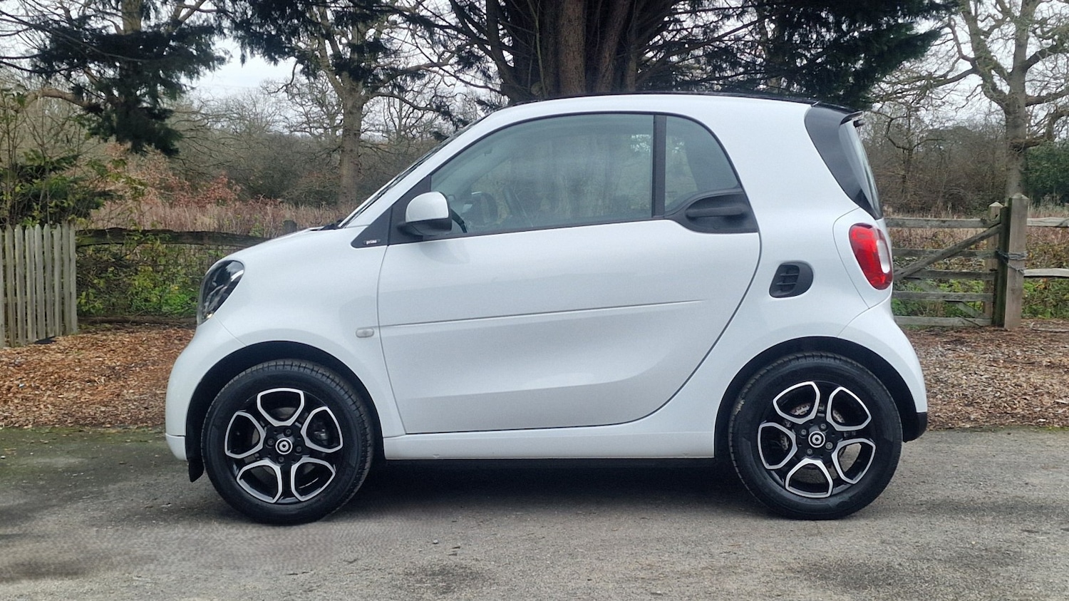 Used smart fortwo 2018 for sale - 77528333: Photo 15