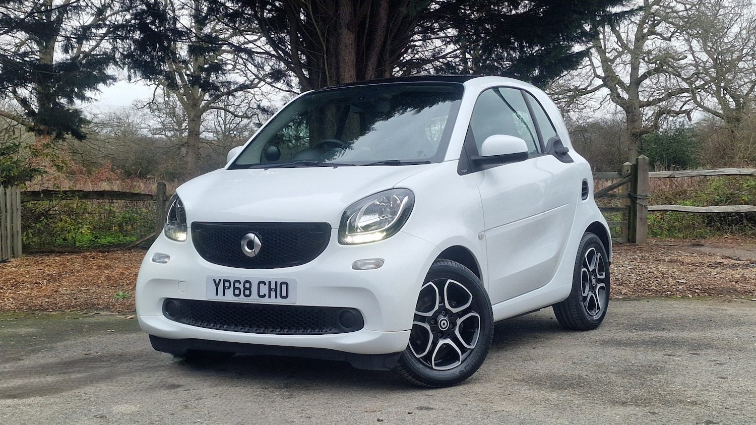 Used smart fortwo 2018 for sale - 77528333: Photo 22