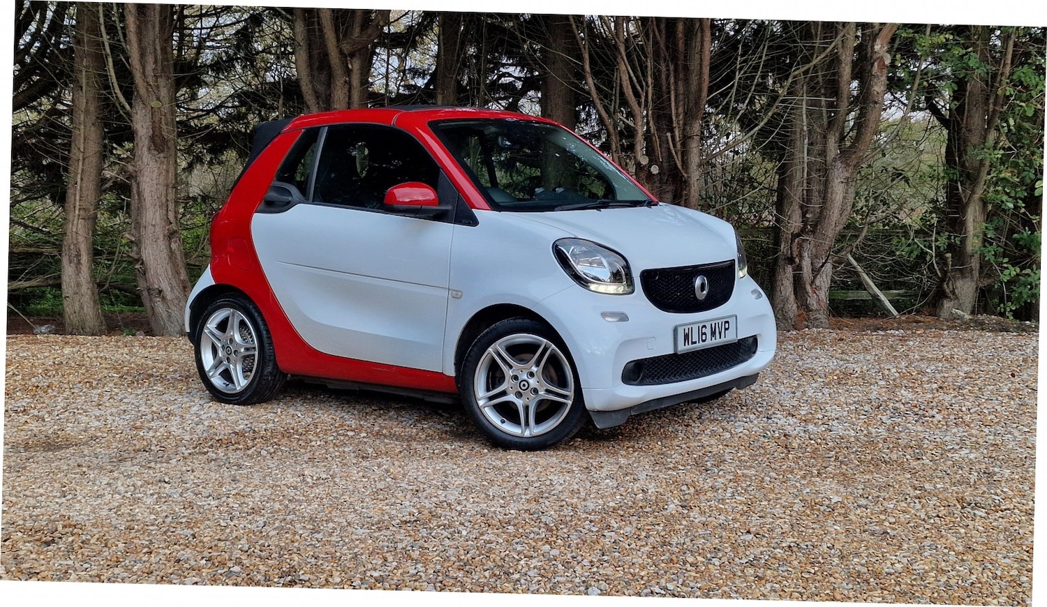Used smart fortwo 2016 for sale - 76643412: Photo 1