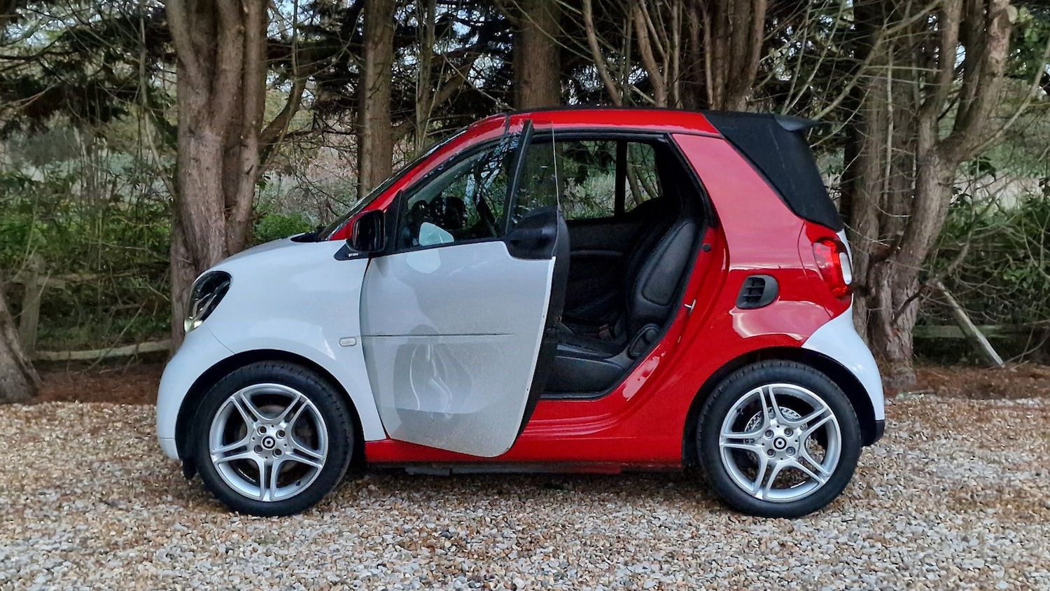 Used smart fortwo 2016 for sale - 76643412: Photo 13