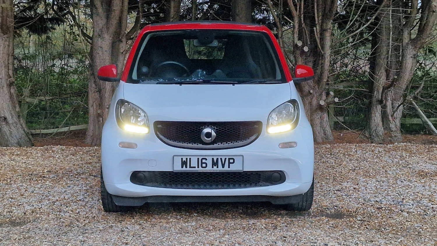 Used smart fortwo 2016 for sale - 76643412: Photo 16