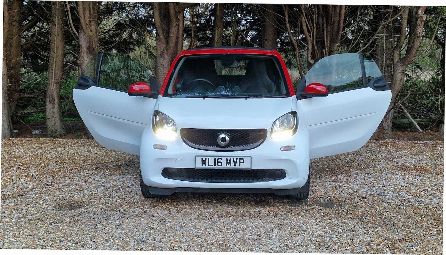 Used smart fortwo 2016 for sale - 76643412: Photo 17