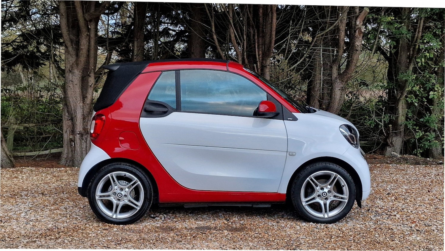 Used smart fortwo 2016 for sale - 76643412: Photo 2