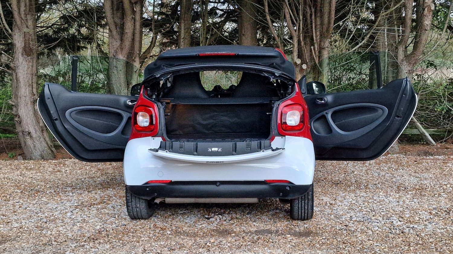 Used smart fortwo 2016 for sale - 76643412: Photo 9