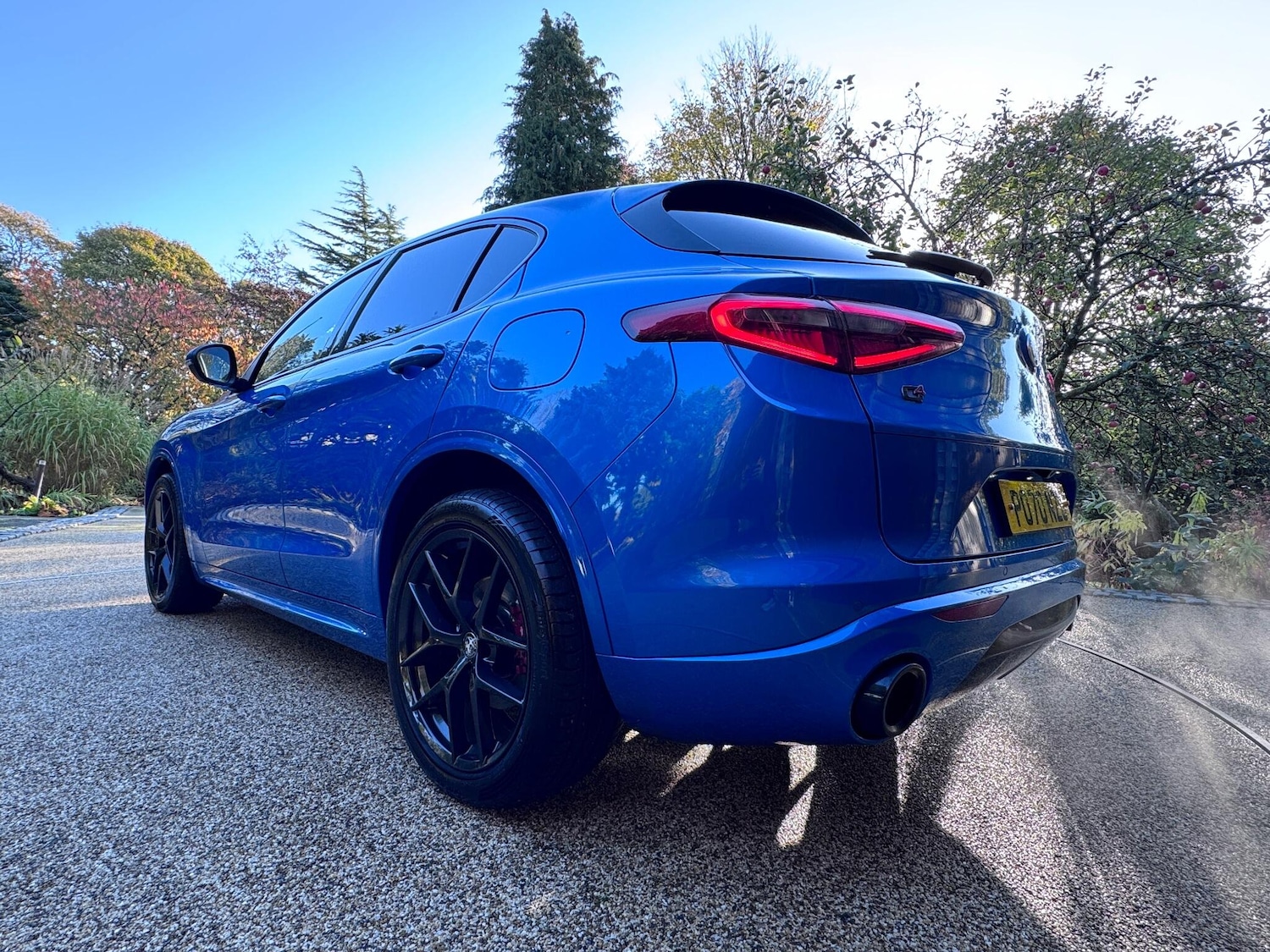 Used Alfa Romeo Stelvio 2020 for sale - 76306304: Photo 4