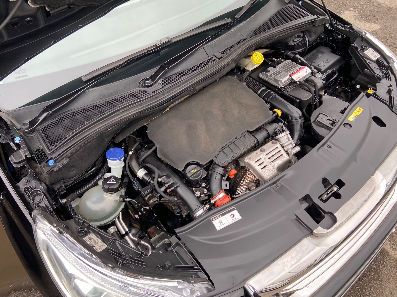 Used Peugeot 2008 2016 for sale - 77855823: Photo 33