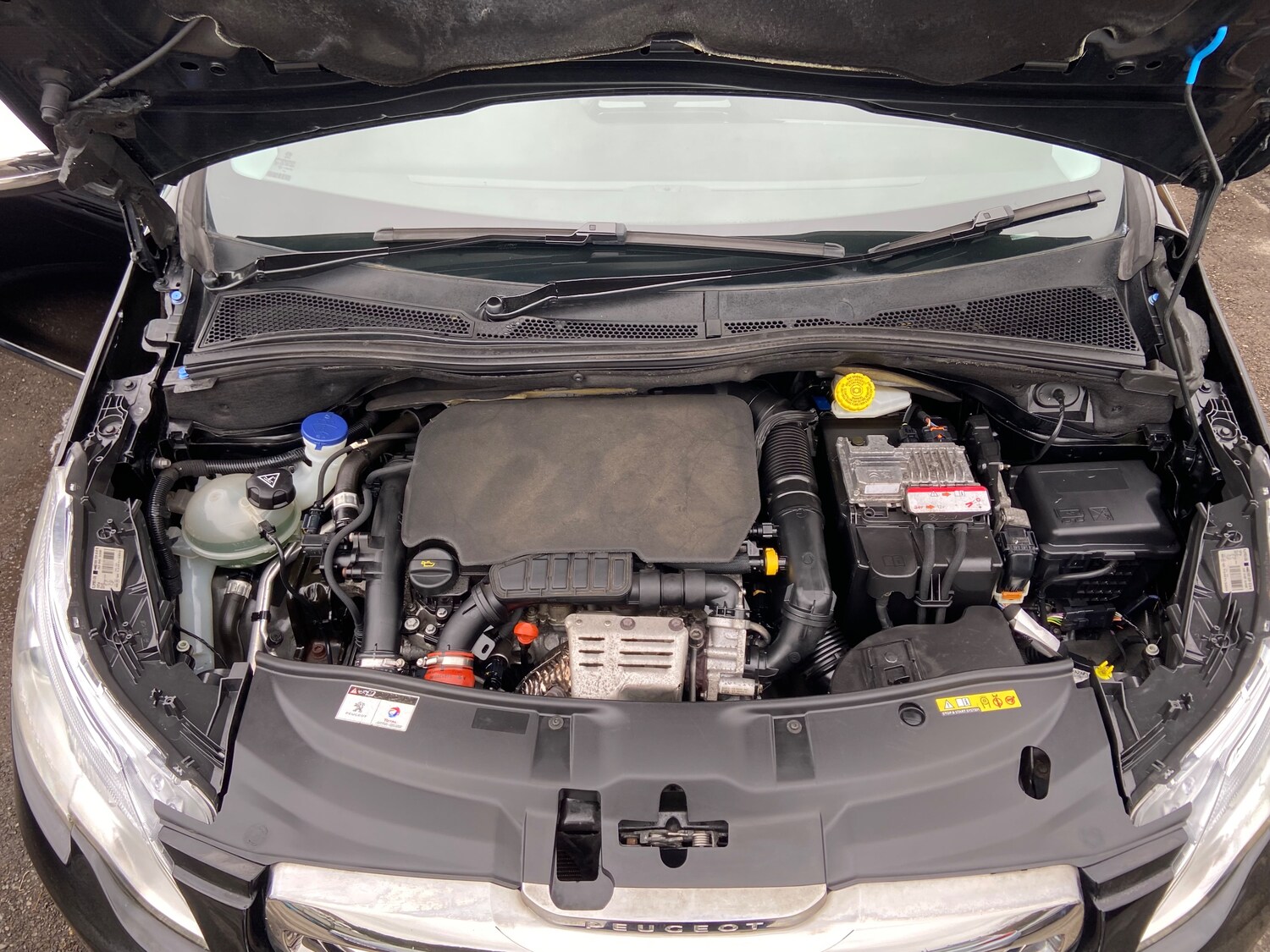 Used Peugeot 2008 2016 for sale - 77855823: Photo 34