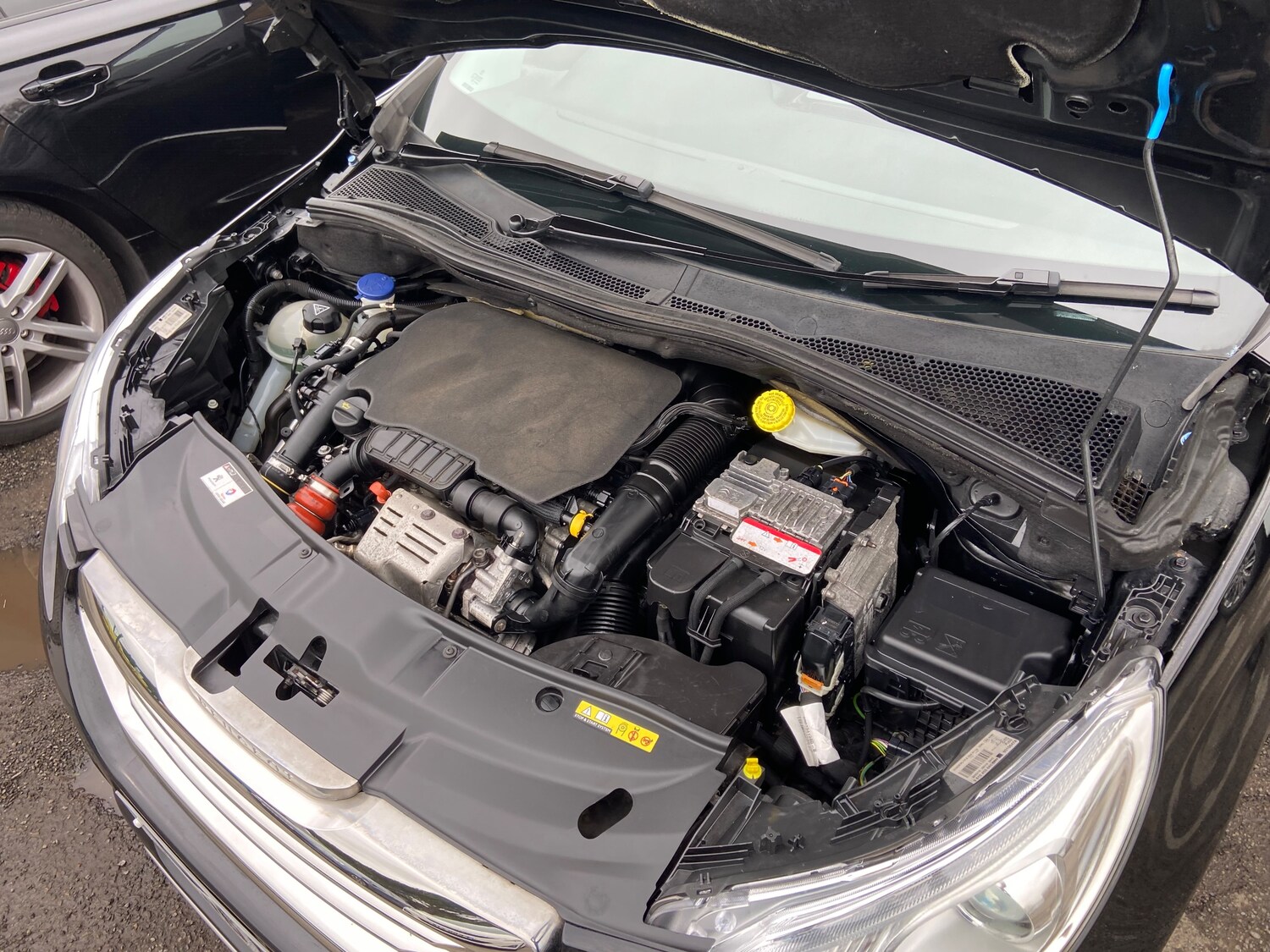 Used Peugeot 2008 2016 for sale - 77855823: Photo 35