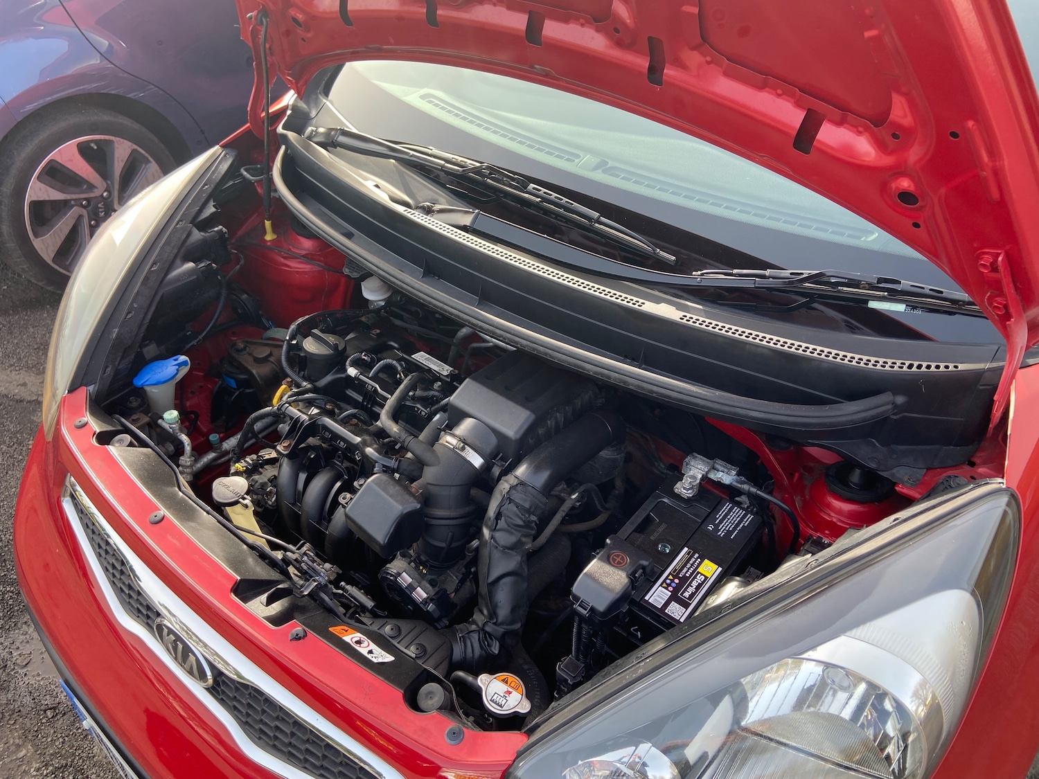 Used Kia Picanto 2012 for sale - 77771429: Photo 15