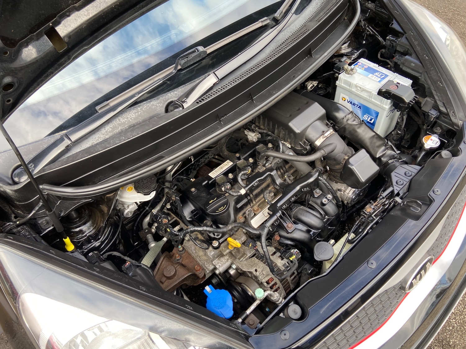 Used Kia Picanto 2016 for sale - 78118127: Photo 10