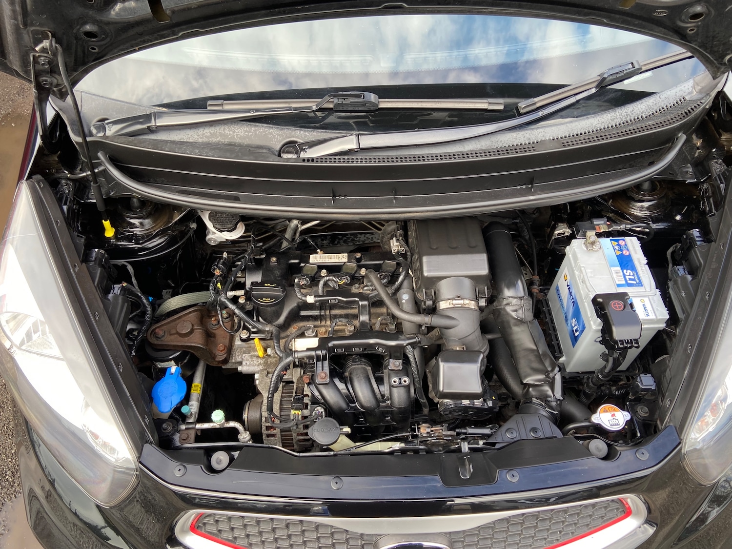 Used Kia Picanto 2016 for sale - 78118127: Photo 11