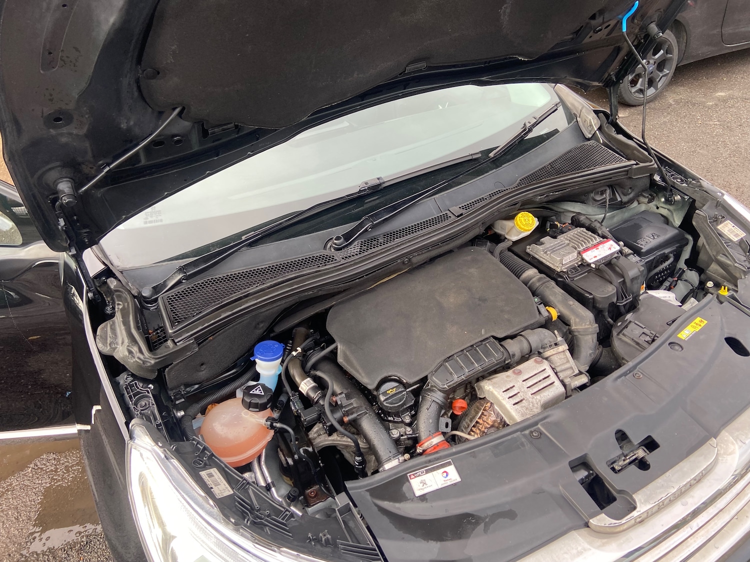 Used Peugeot 2008 2016 for sale - 76851355: Photo 6