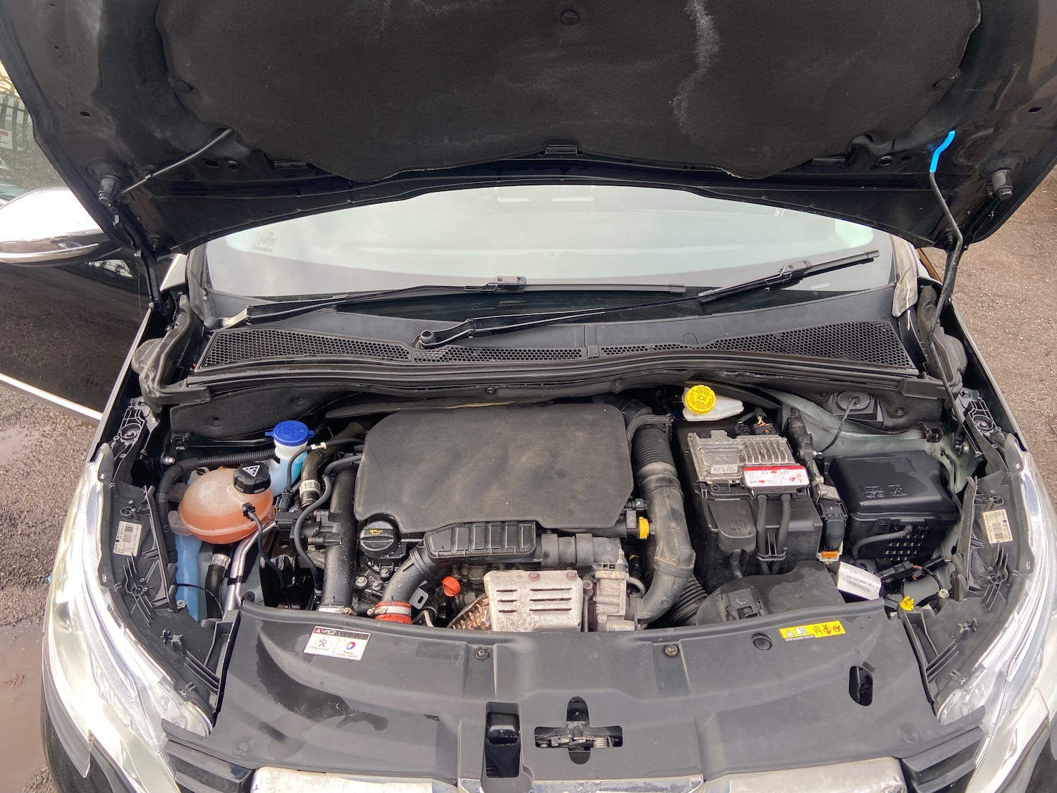 Used Peugeot 2008 2016 for sale - 76851355: Photo 8