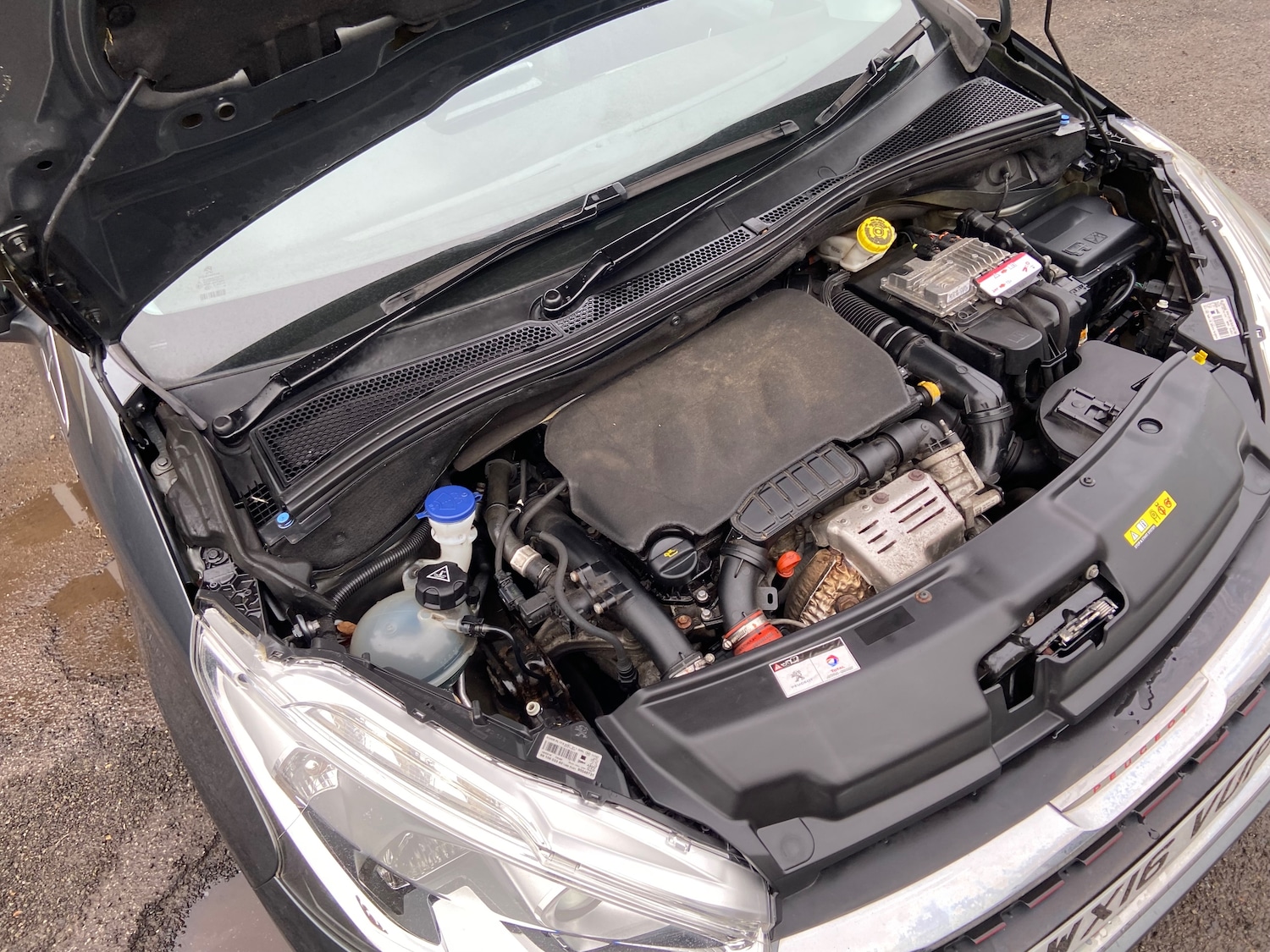 Used Peugeot 208 2016 for sale - 77529279: Photo 16