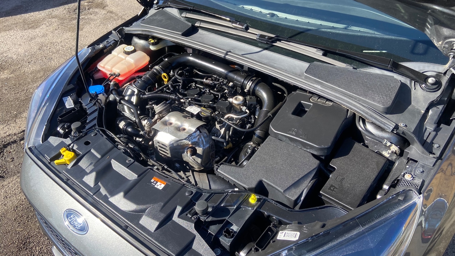 Used Ford Focus 2016 for sale - 78063579: Photo 36