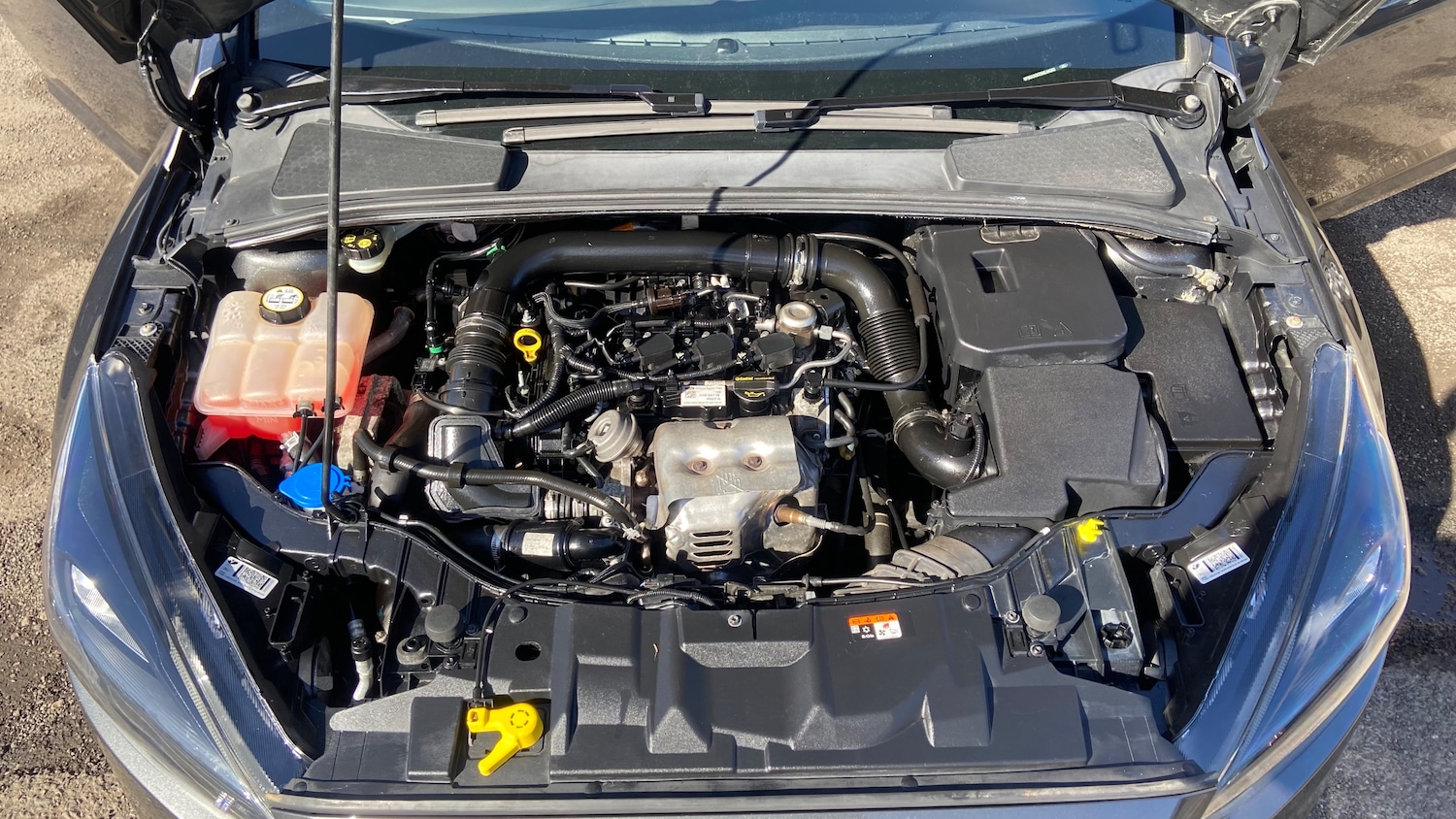 Used Ford Focus 2016 for sale - 78063579: Photo 37