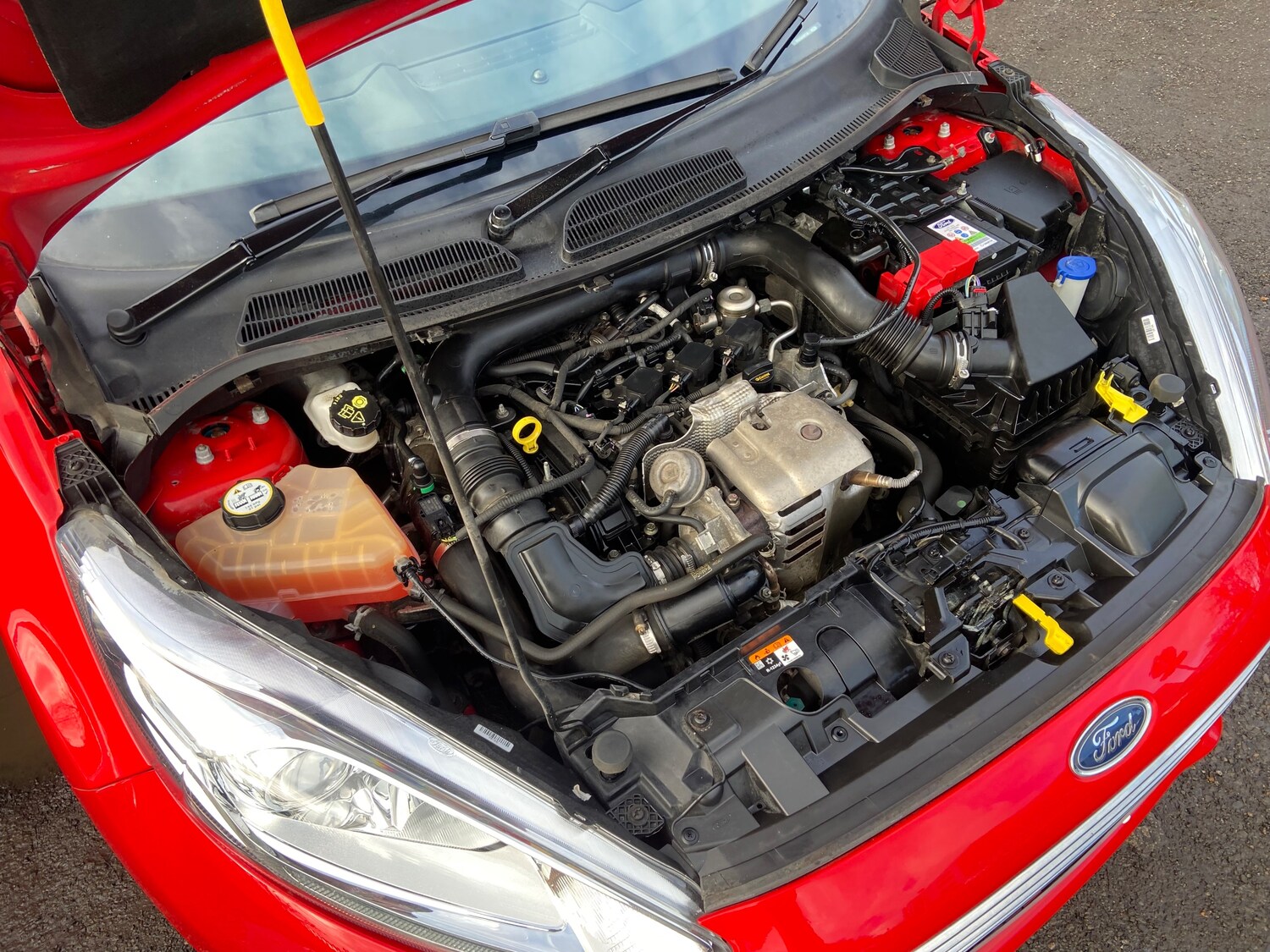 Used Ford Fiesta 2017 for sale - 76842324: Photo 16