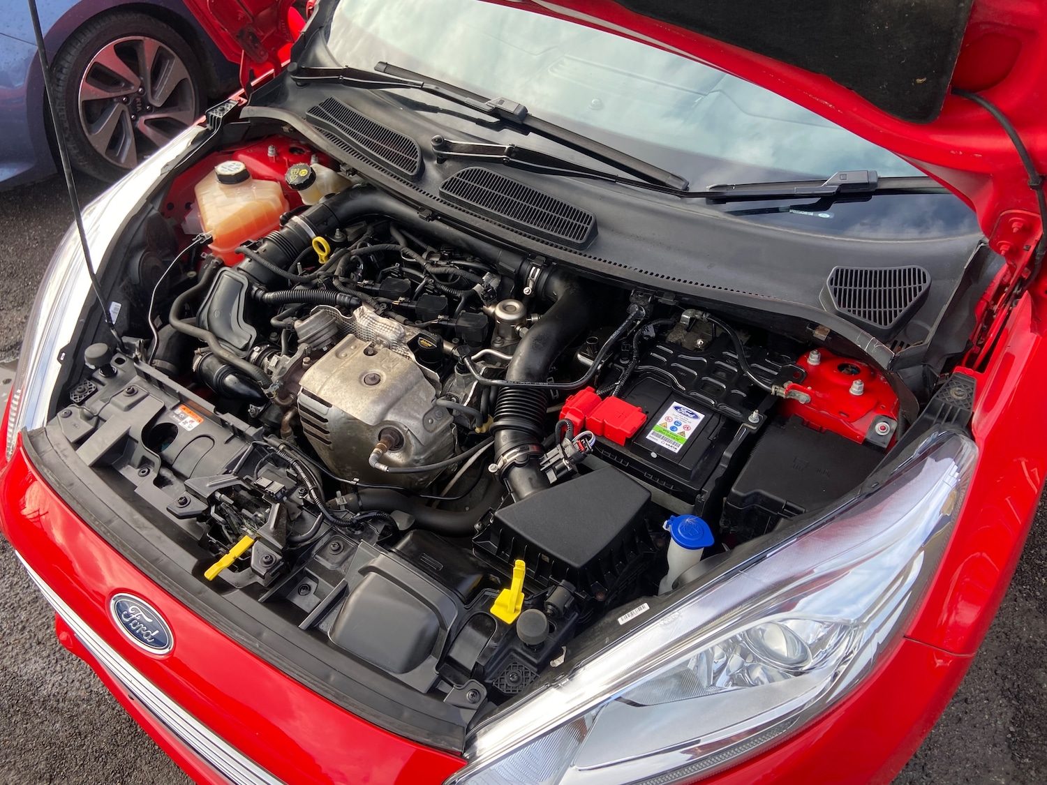 Used Ford Fiesta 2017 for sale - 76842324: Photo 18