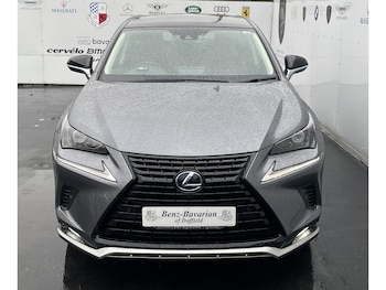 Used Lexus NX 2021 for sale - 76763180: Photo