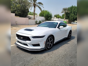 Used Ford Mustang 2024 for sale - 76957463: Photo