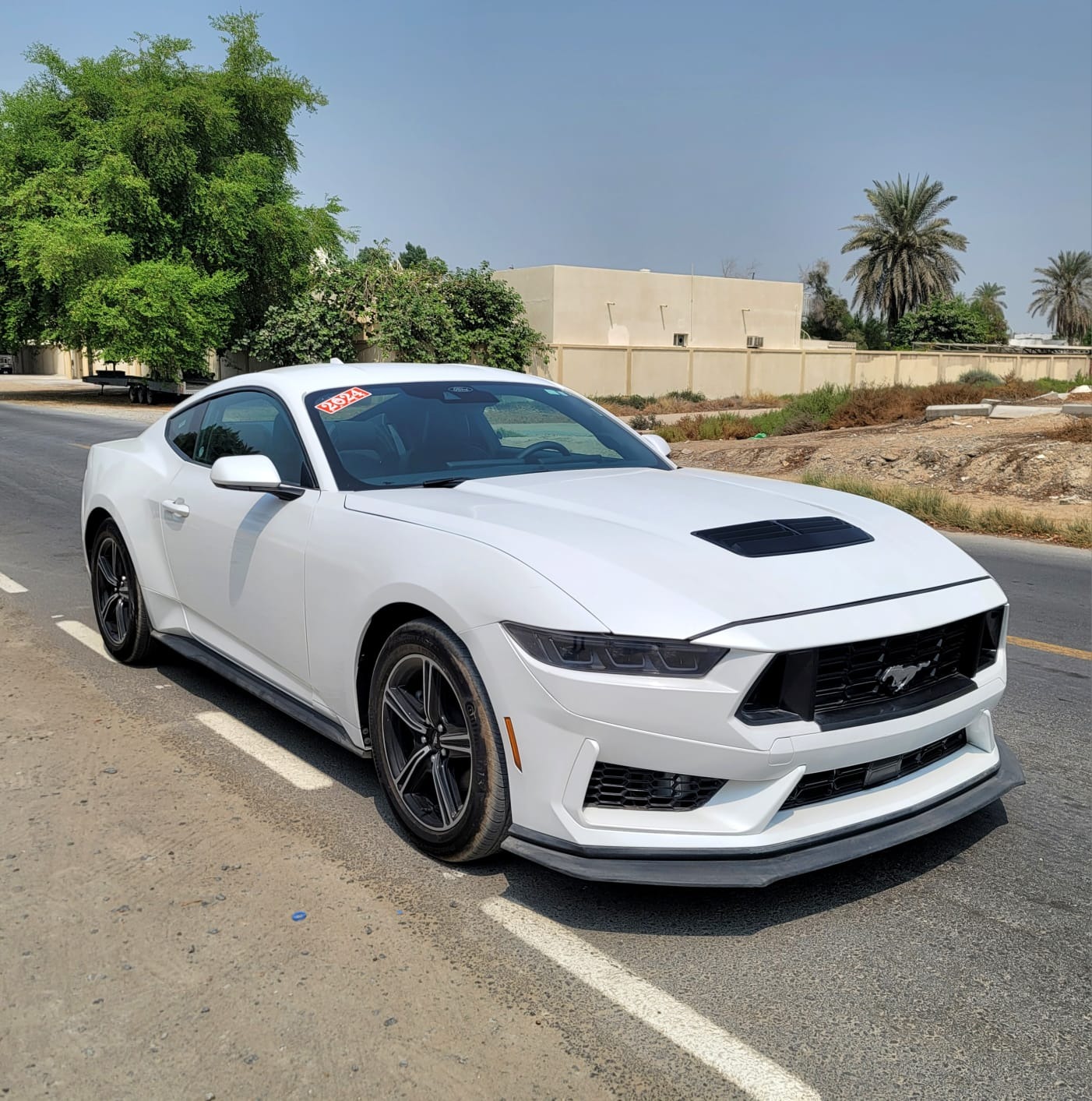 Used Ford Mustang 2024 for sale - 76957463: Photo 2