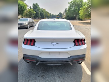 Used Ford Mustang 2024 for sale - 76957463: Photo