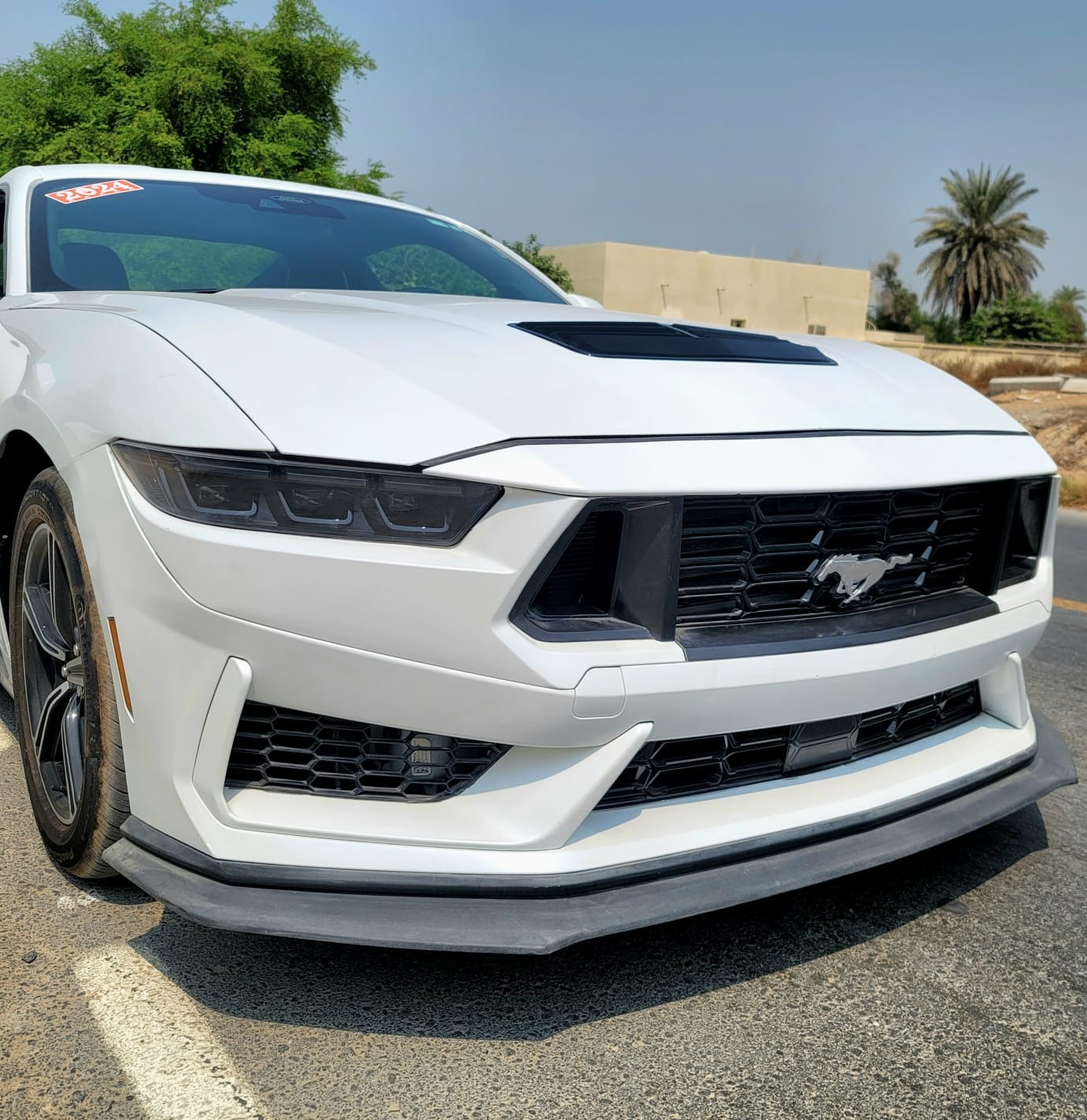 Used Ford Mustang 2024 for sale - 76957463: Photo 5