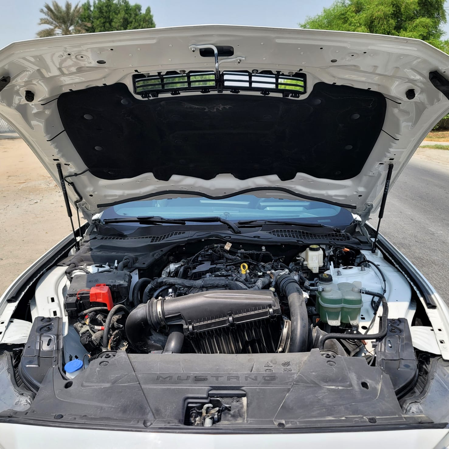 Used Ford Mustang 2024 for sale - 76957463: Photo 7