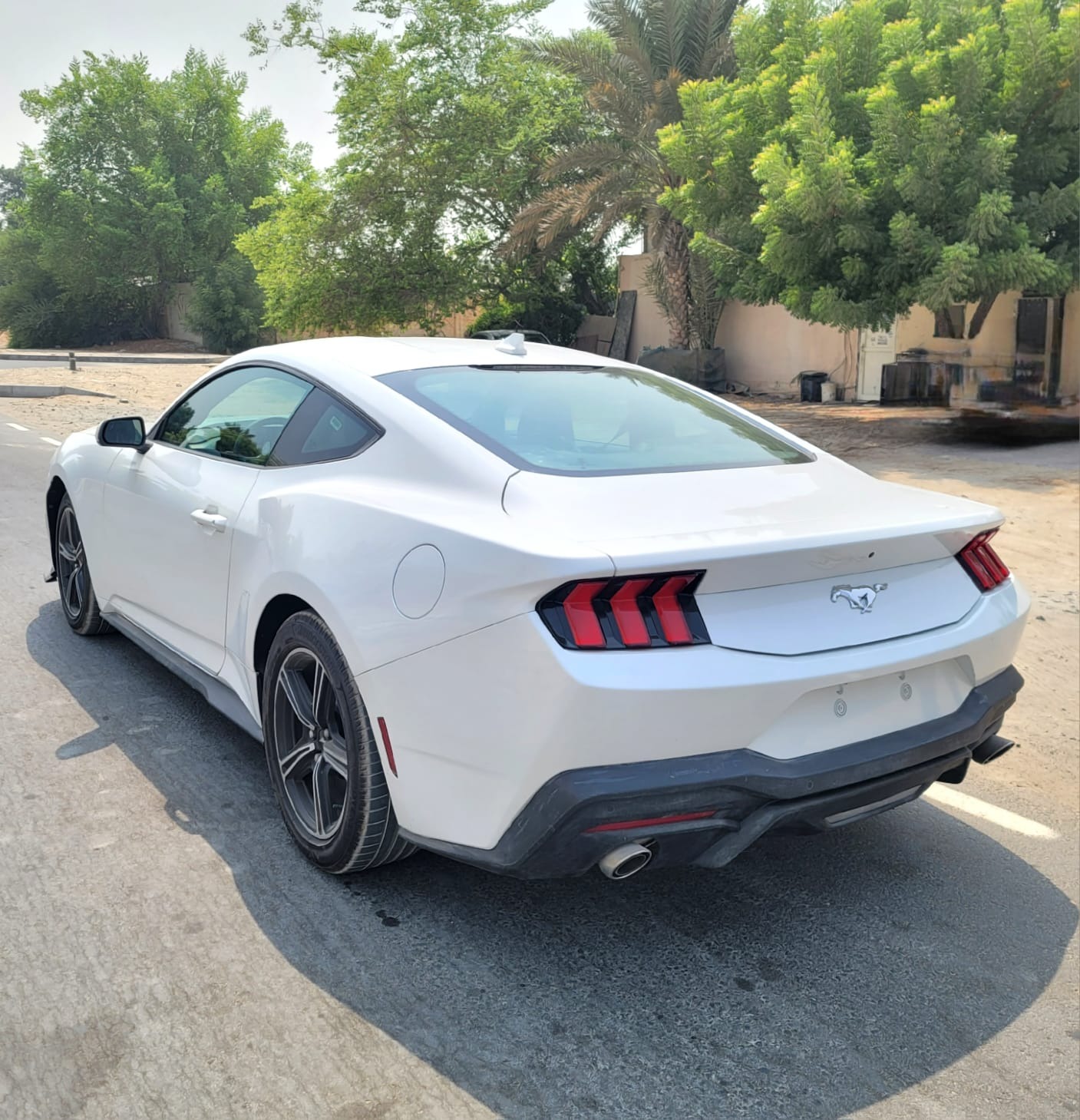 Used Ford Mustang 2024 for sale - 76957463: Photo 8