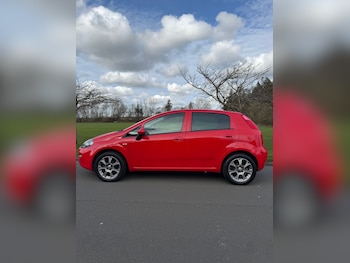 Used Fiat Punto 2017 for sale - 77935248: Photo