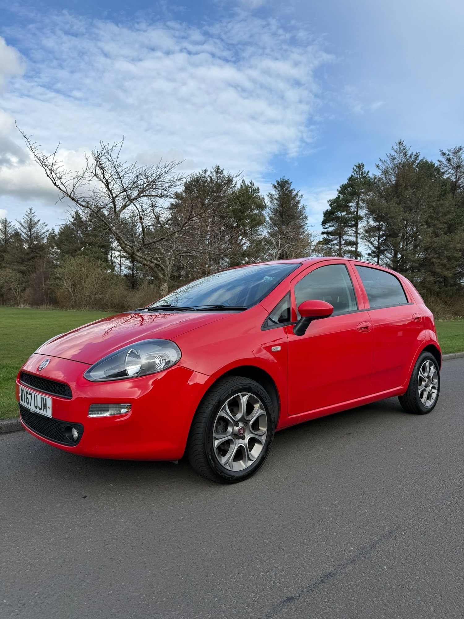 Used Fiat Punto 2017 for sale - 77935248: Photo 6