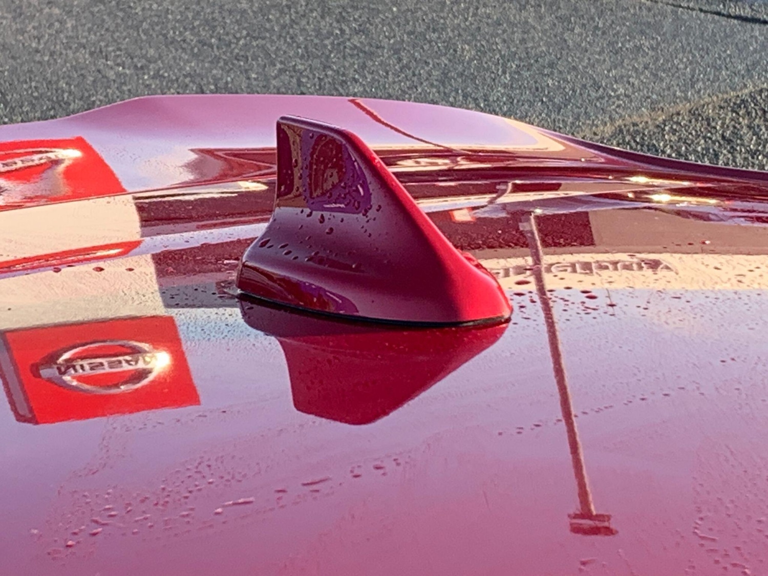 Used Ford Puma 2024 for sale - 77091525: Photo 56