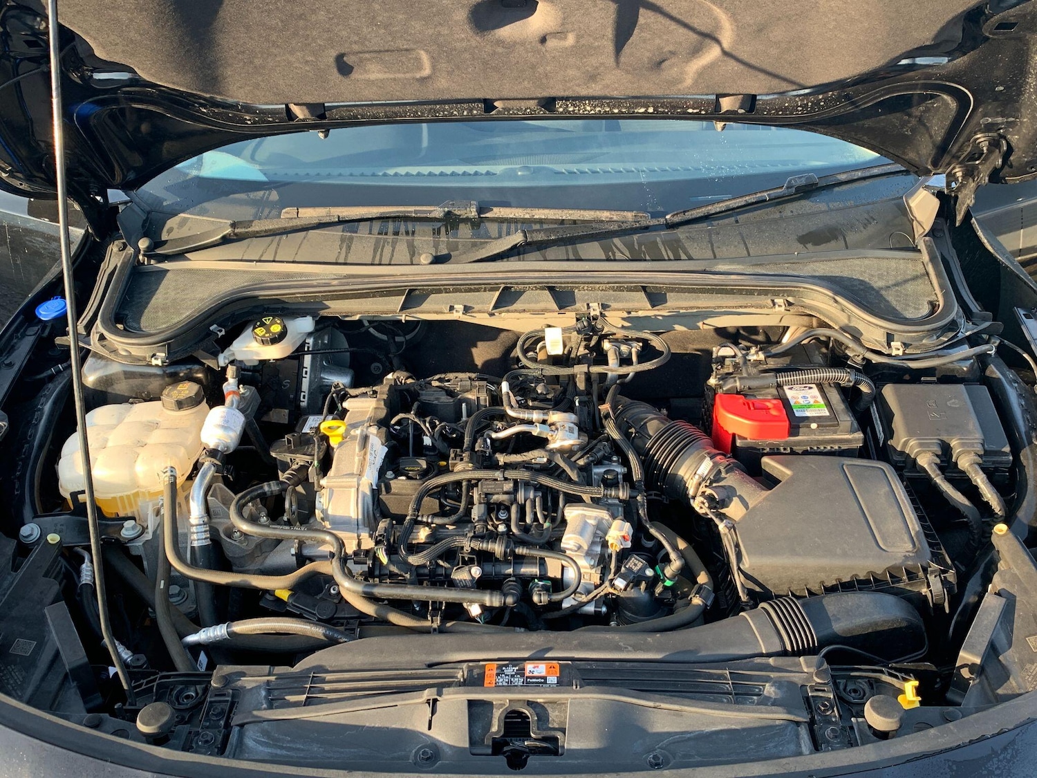 Used Ford Focus 2022 for sale - 76997748: Photo 19