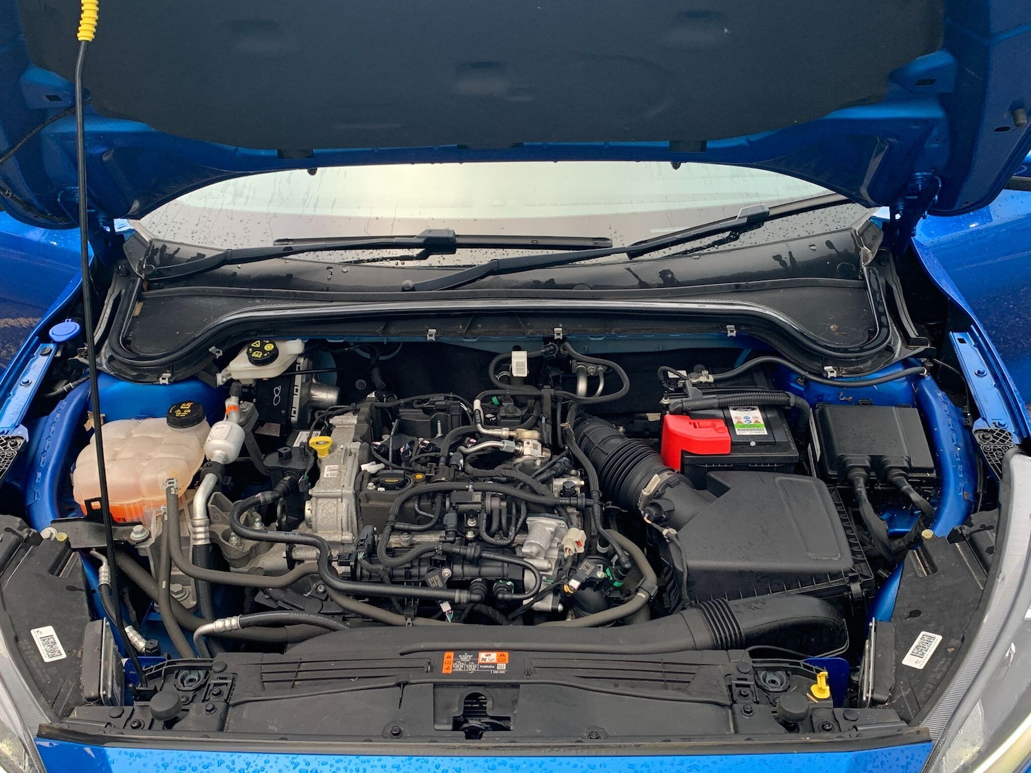 Used Ford Focus 2022 for sale - 76824689: Photo 34