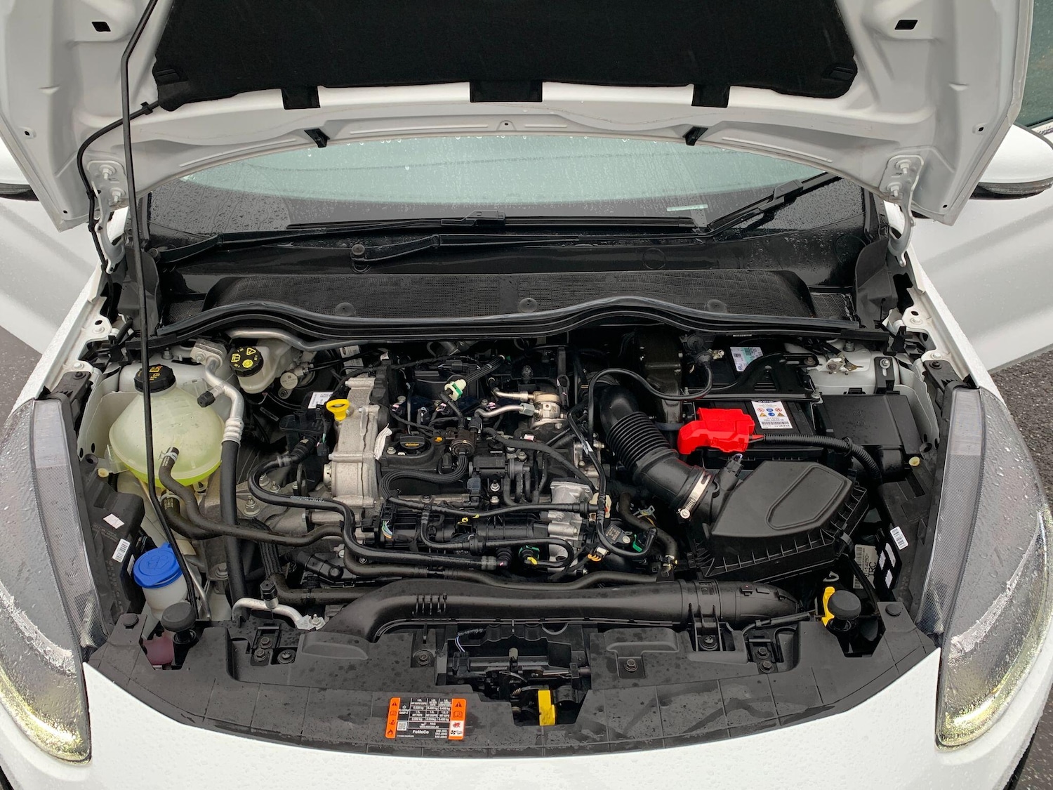 Used Ford Fiesta 2022 for sale - 77016753: Photo 32