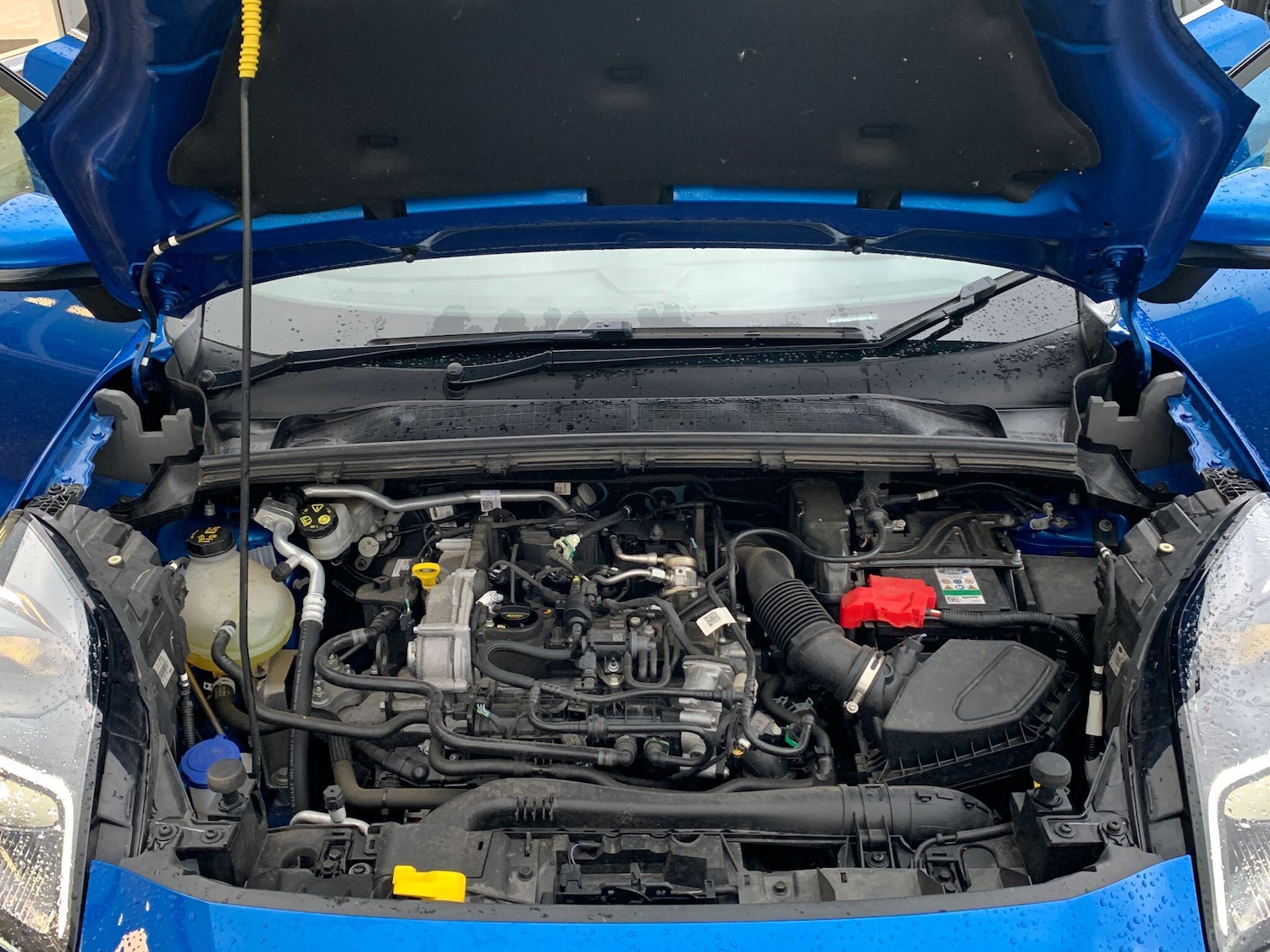 Used Ford Puma 2023 for sale - 76824053: Photo 30